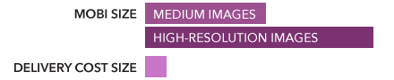 Comparison of sizes with medium and high-resolution images